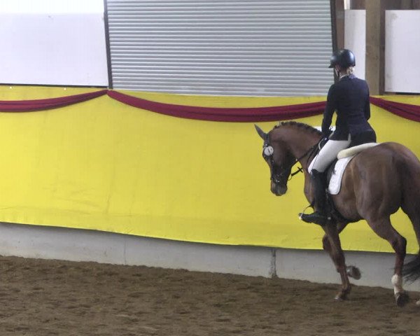 Reitturnier Ellwangen-Röhlingen 2019