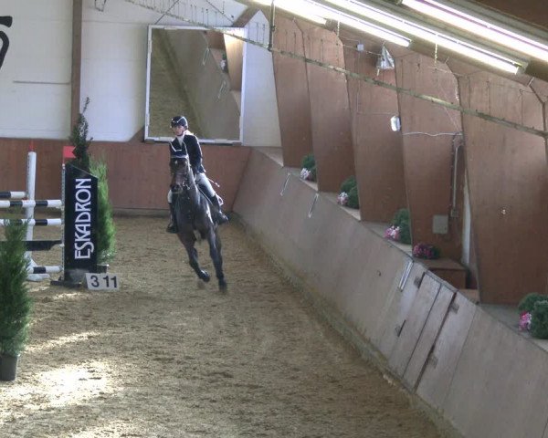Reitturnier Bad Salzuflen 2019