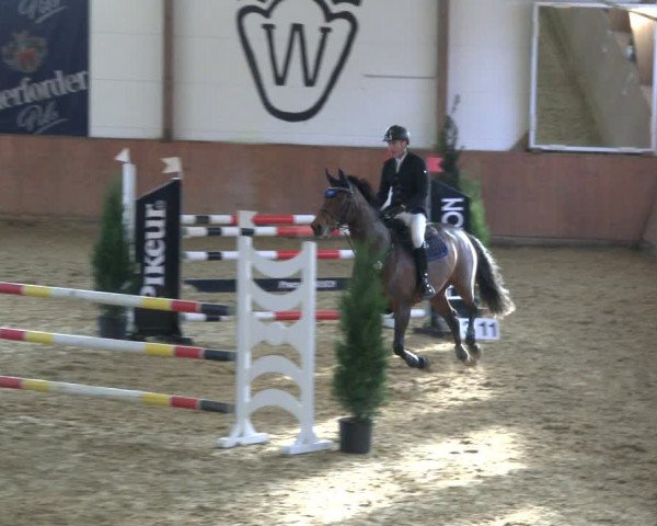 Reitturnier Bad Salzuflen 2019