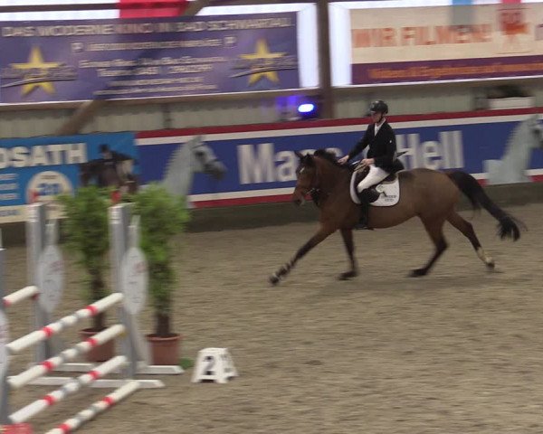 Nordic Jumping events 2019
