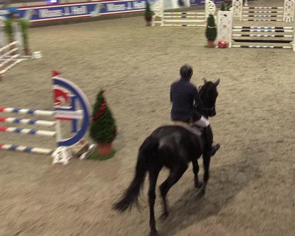 Nordic Jumping events 2019