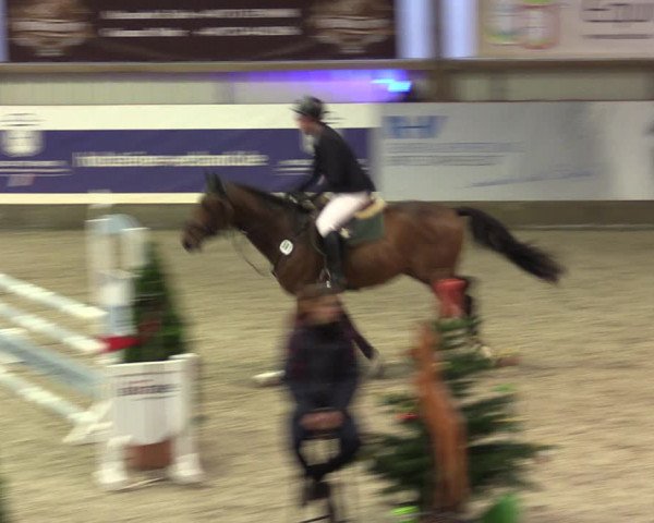 Nordic Jumping events 2019