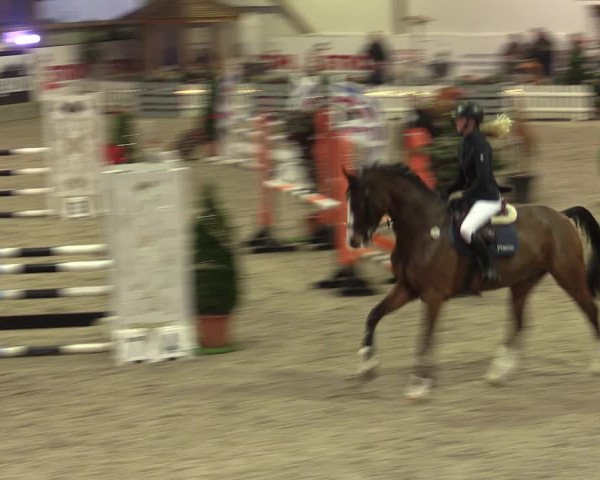 Nordic Jumping events 2019