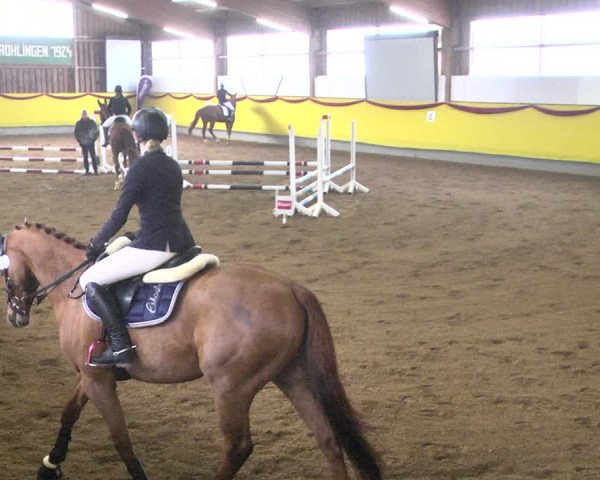 Reitturnier Ellwangen-Röhlingen 2019