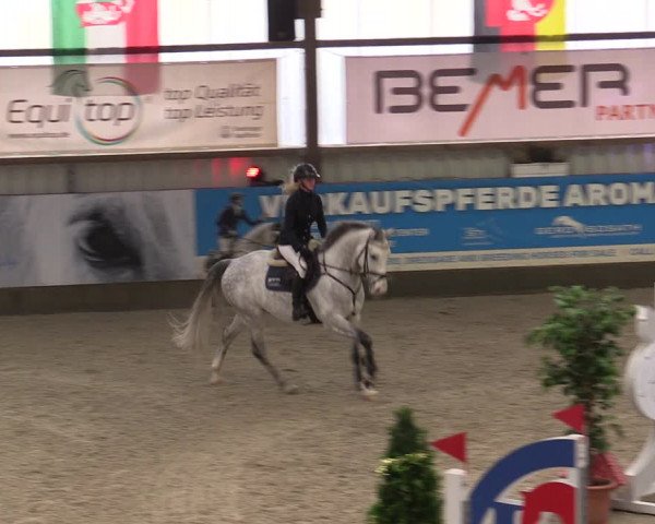 Nordic Jumping events 2019