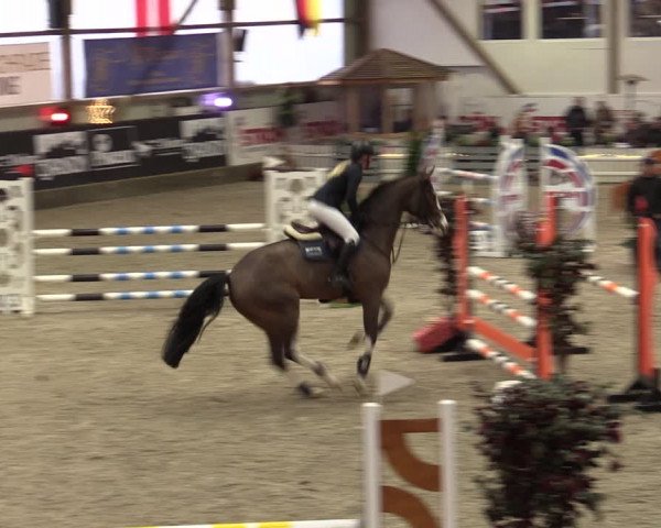 Nordic Jumping events 2019