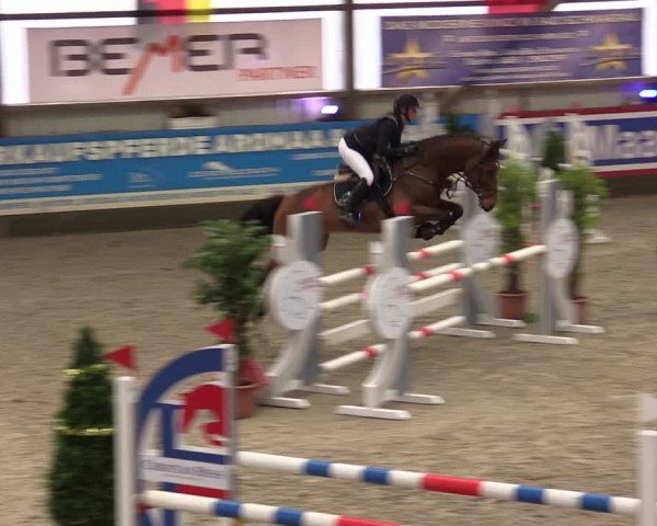 Nordic Jumping events 2019
