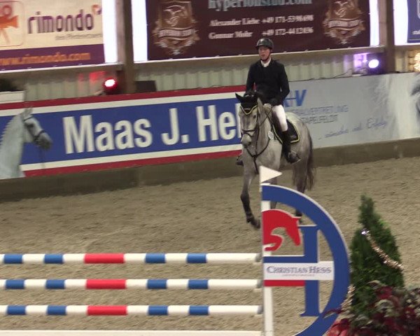 Nordic Jumping events 2019