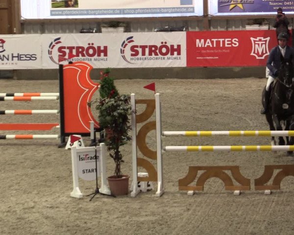 Nordic Jumping events 2019