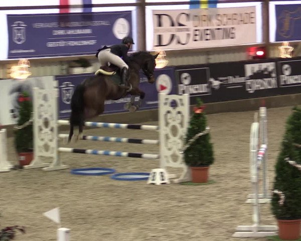 Nordic Jumping events 2019