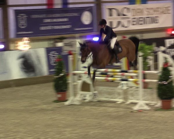 Nordic Jumping events 2019