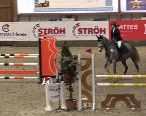 Nordic Jumping events 2019