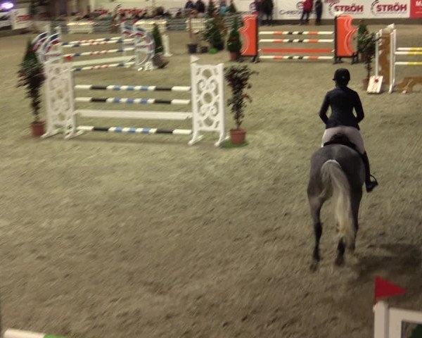Nordic Jumping events 2019