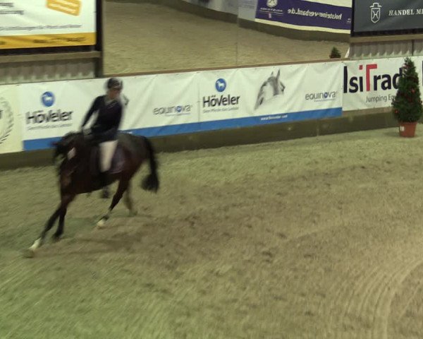 Nordic Jumping events 2019