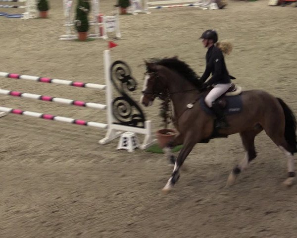 Nordic Jumping events 2019