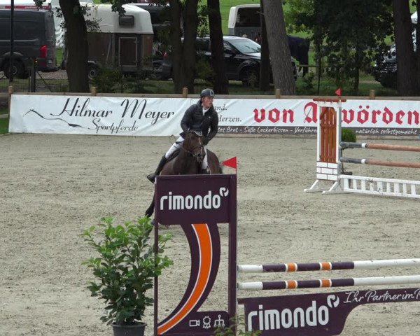 Reitturnier Westergellersen 2021