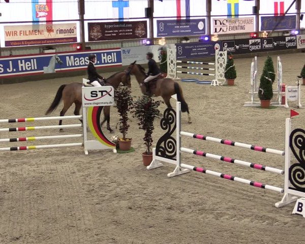 Nordic Jumping events 2019