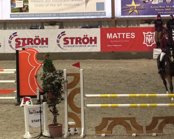 Nordic Jumping events 2019
