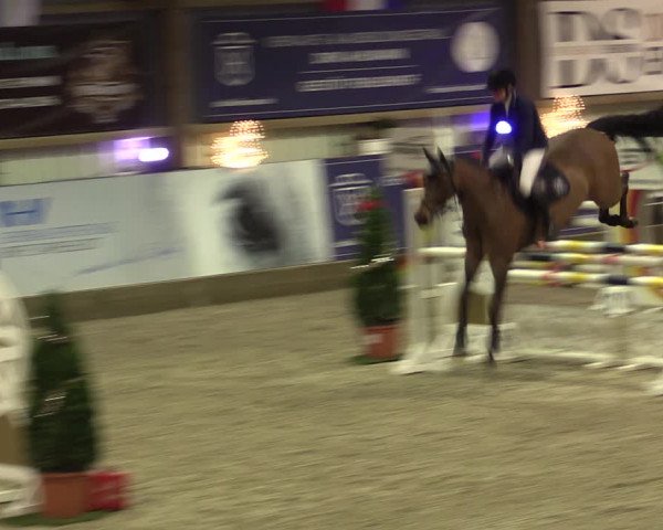 Nordic Jumping events 2019