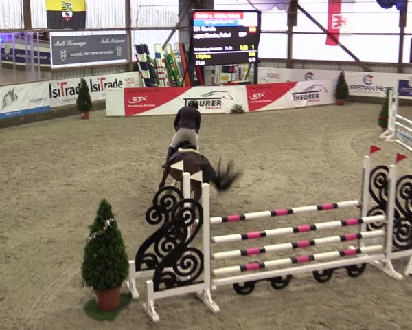 Nordic Jumping events 2019