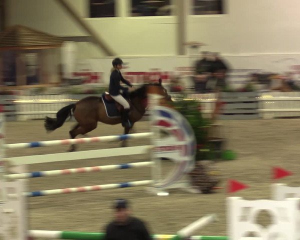 Nordic Jumping events 2019