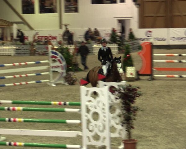 Nordic Jumping events 2019