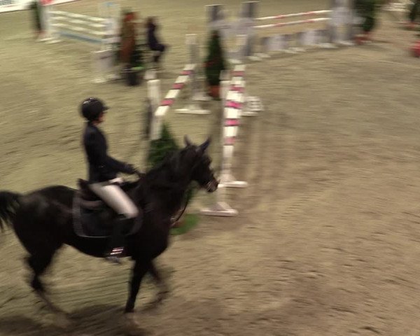 Nordic Jumping events 2019