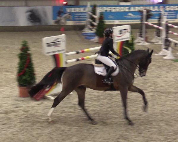 Nordic Jumping events 2019