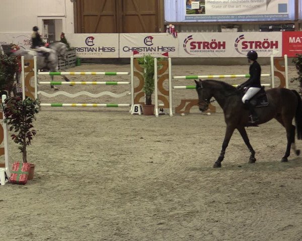 Nordic Jumping events 2019