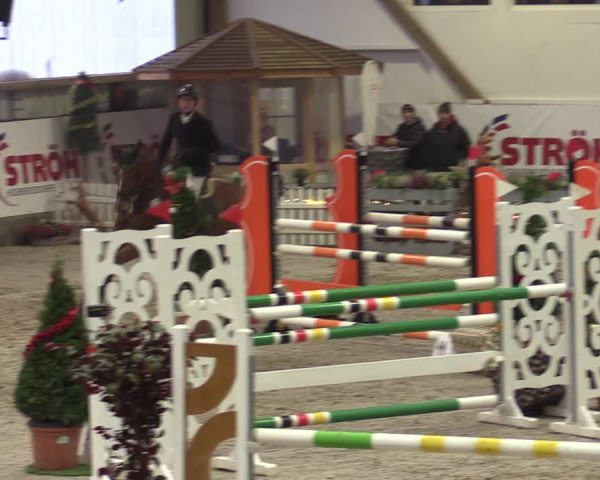 Nordic Jumping events 2019