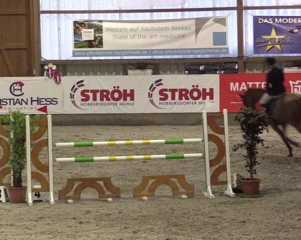 Nordic Jumping events 2019