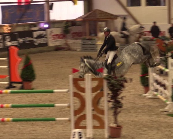 Nordic Jumping events 2019