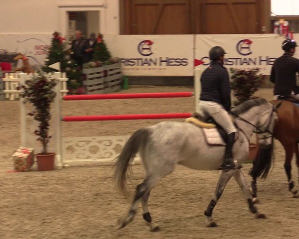 Nordic Jumping events 2019