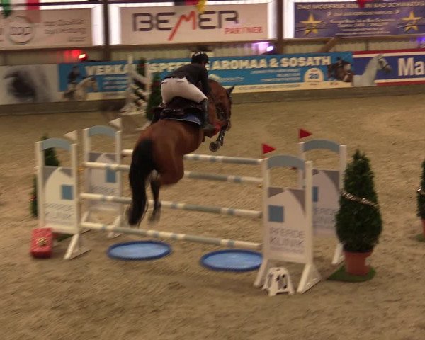 Nordic Jumping events 2019