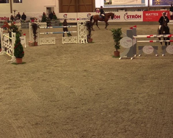 Nordic Jumping events 2019