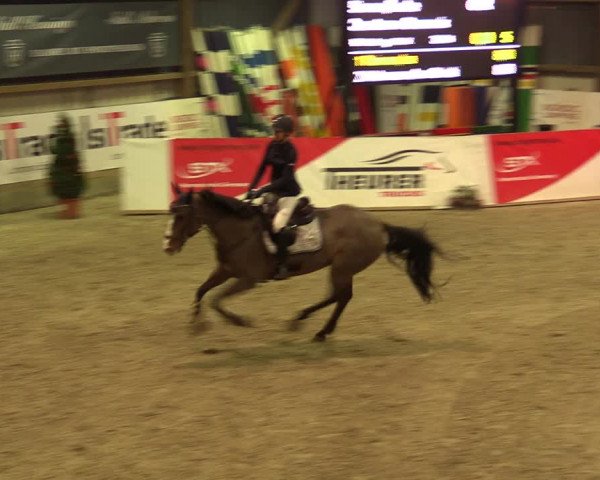Nordic Jumping events 2019