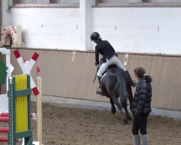 Reitturnier Jühnsdorf 2019