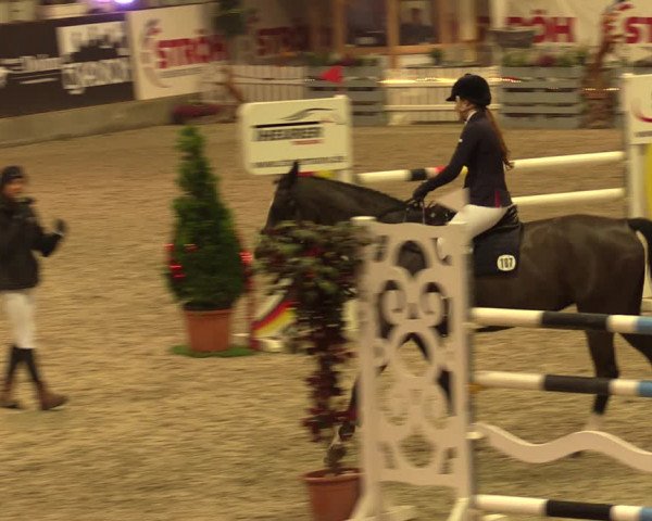 Nordic Jumping events 2019