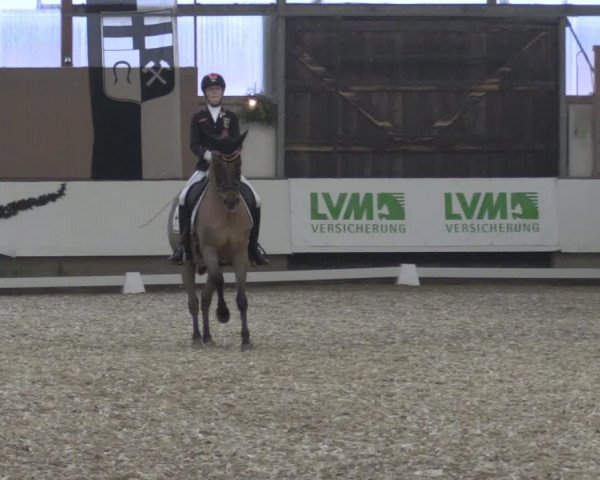 Reitturnier Alt Marl 2019