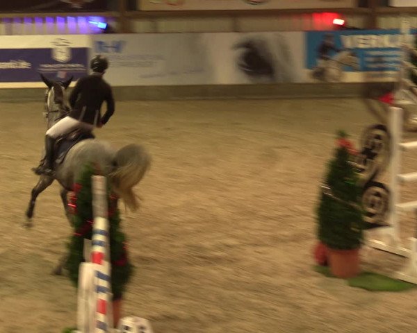 Nordic Jumping events 2019
