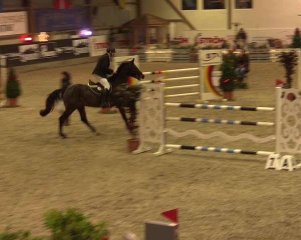 Nordic Jumping events 2019