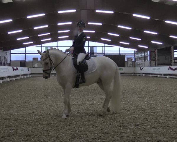 Reitturnier Alt Marl 2019