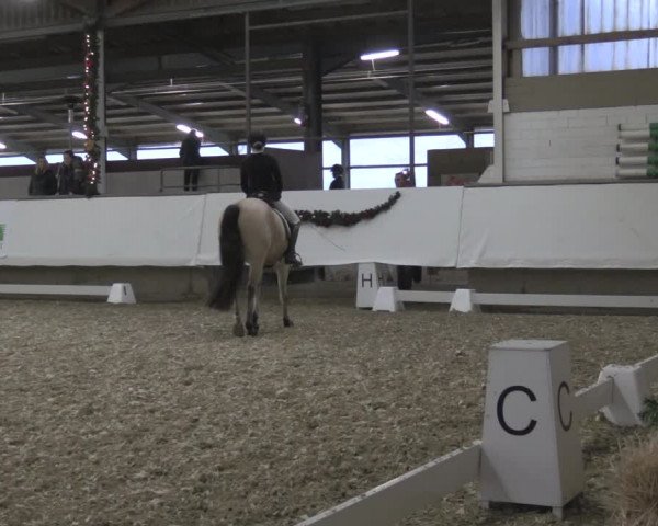 Reitturnier Alt Marl 2019