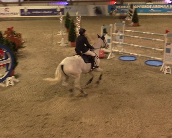 Nordic Jumping events 2019