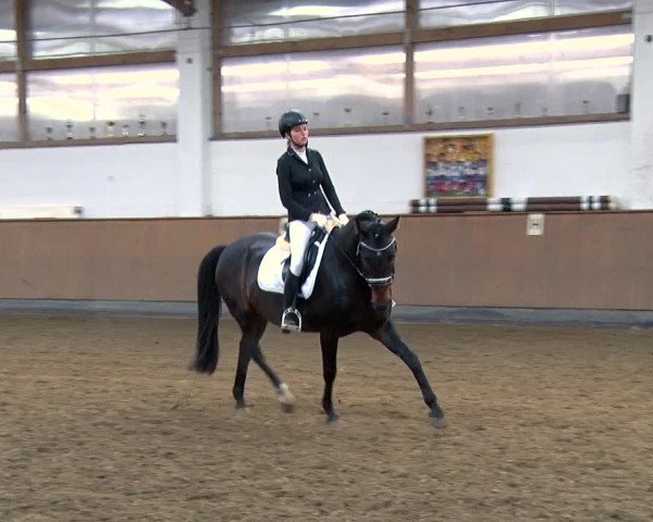Reitturnier Jühnsdorf 2019