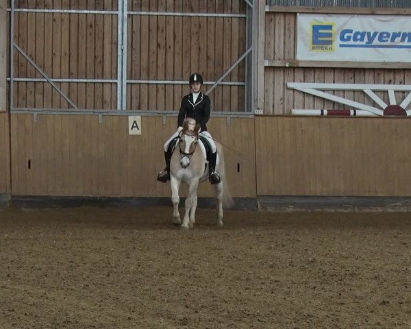 Reitturnier Jühnsdorf 2019