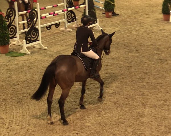 Nordic Jumping events 2019