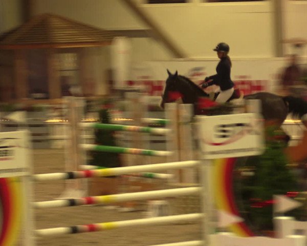 Nordic Jumping events 2019