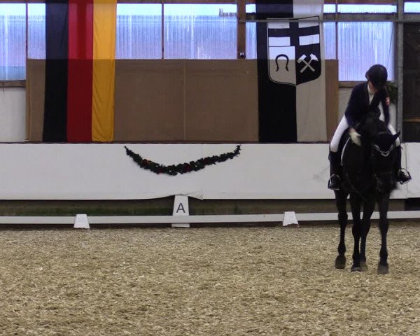 Reitturnier Alt Marl 2019