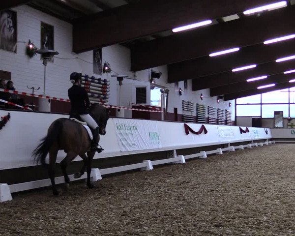 Reitturnier Alt Marl 2019